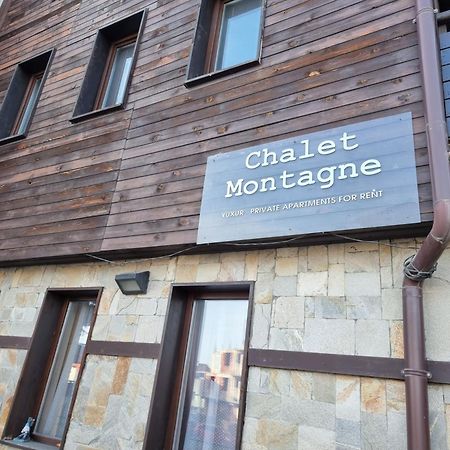 Chalet Montagne Bansko Apartment Exteriér fotografie